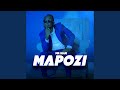 Mapozi