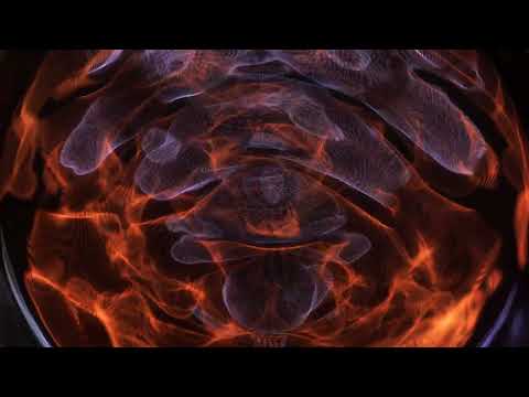 HIGH & DRY BY WELLMESS