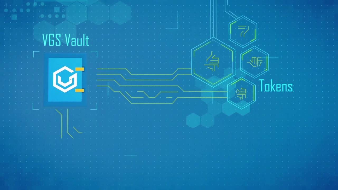 VGS: Data Security Starts here