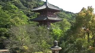 Shinto and Buddhism in Japam