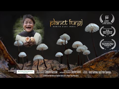 STREAMING NOW "Planet Fungi - north east India"