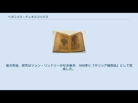 ディオスコリデスについて詳しく解説