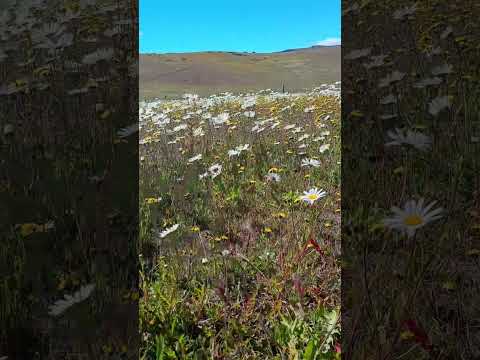 rio turbio santa cruz