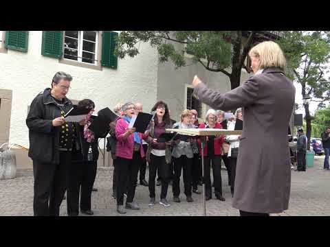 Bionda,bella bionda - Kirchen  & Gemischter Chor Magden