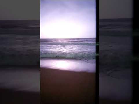 Beutiful View of bay of Bengal from #niladri #beach 🌊🐚 #subscribe #shorts #short #shortvideo