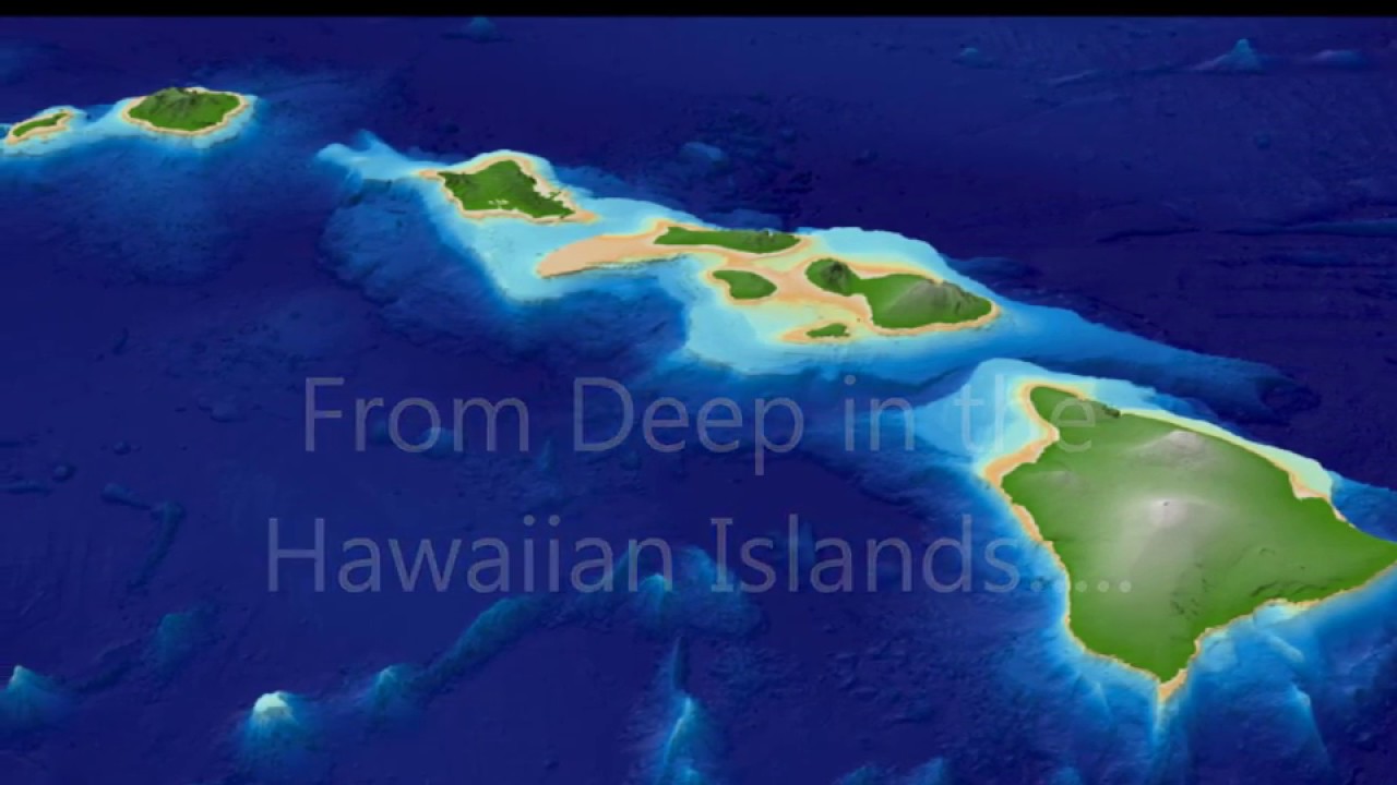 Tropical Bedding by Dean Miller Plantation