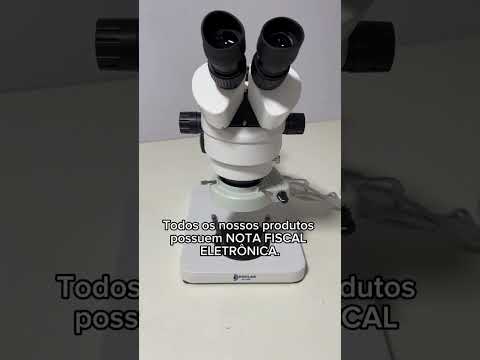 V&iacute;deo 4