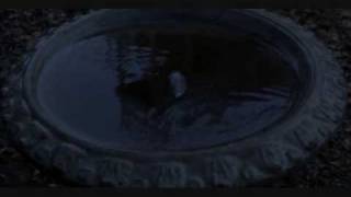 Faith No More - Stripsearch