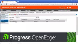 Creating tenants, domains, and users in a Progress OpenEdge multi-tenant database