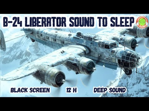B-24 LIBERATOR SOUND TO SLEEP | BROWN NOISE 12 H | PROPELLER NOISE | UNSYNCHRONIZED ENGINES ✈️🎧😴
