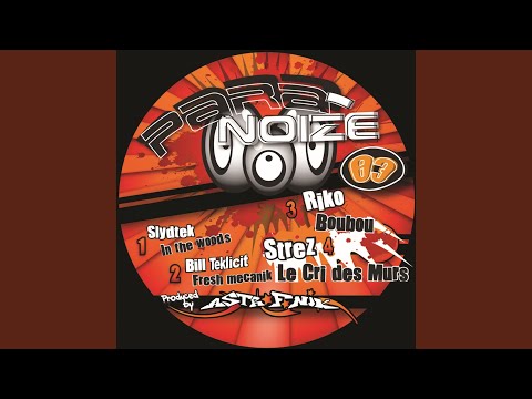 In the Wood's (Original Mix)