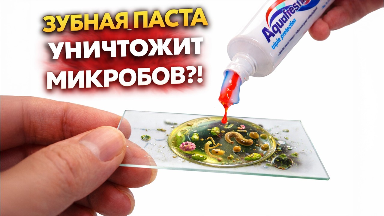 Что сделает ополаскиватель и зубная паста с МИКРОБАМИ? Реальный эксперимент