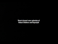 Adultswim Fine Television Made From Scratch Bumper Nov 2012