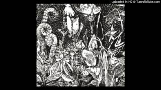 Visitations - Untitled VII