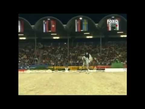 Hip Hop Dressage