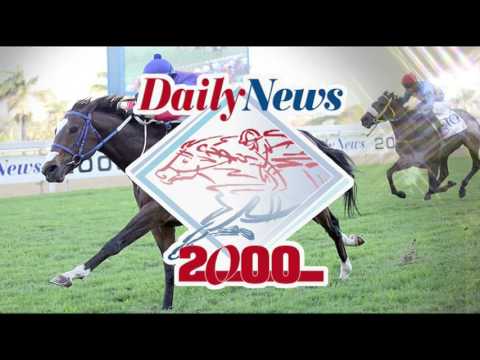 Daily News 2000 Raceday Promo 2016