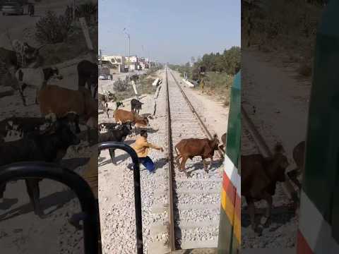 Train Accident 😱 | Train Almost Hit the boy 😭 #viral #shortsvideo #pakistani #train #accidentnews
