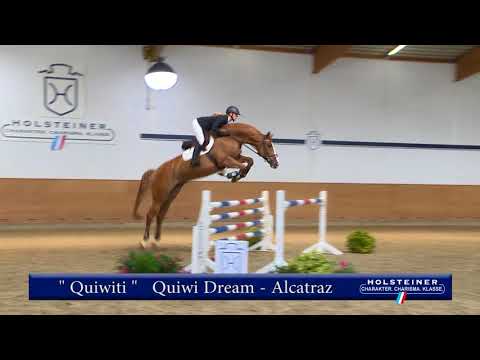 134 | Quiwiti v. Quiwi Dream - Alcatraz