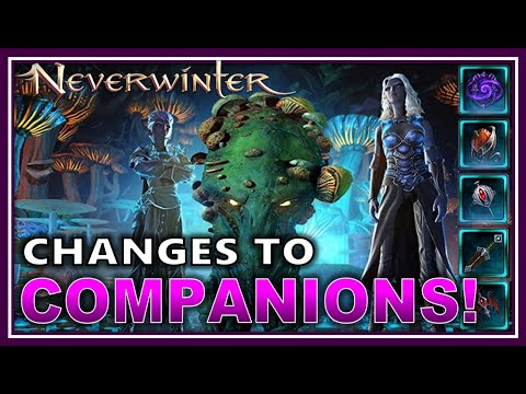 M25 COMPANION CHANGES: Buffs & Nerfs, Testing 40+ for now! (top st comp?) - Neverwinter Preview
