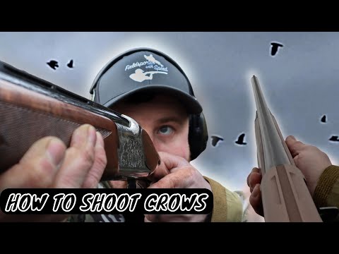 How to Shoot Crows | Crow Shooting | 100+ Bag
