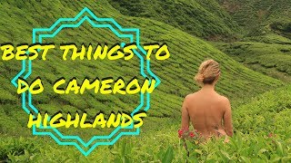 BEST THINGS TO DO, CAMERON HIGHLANDS | MALAYSIA TRAVEL VLOG