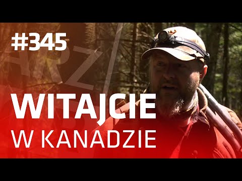 Darz Bór odc. 345 - Witajcie w Kanadzie!