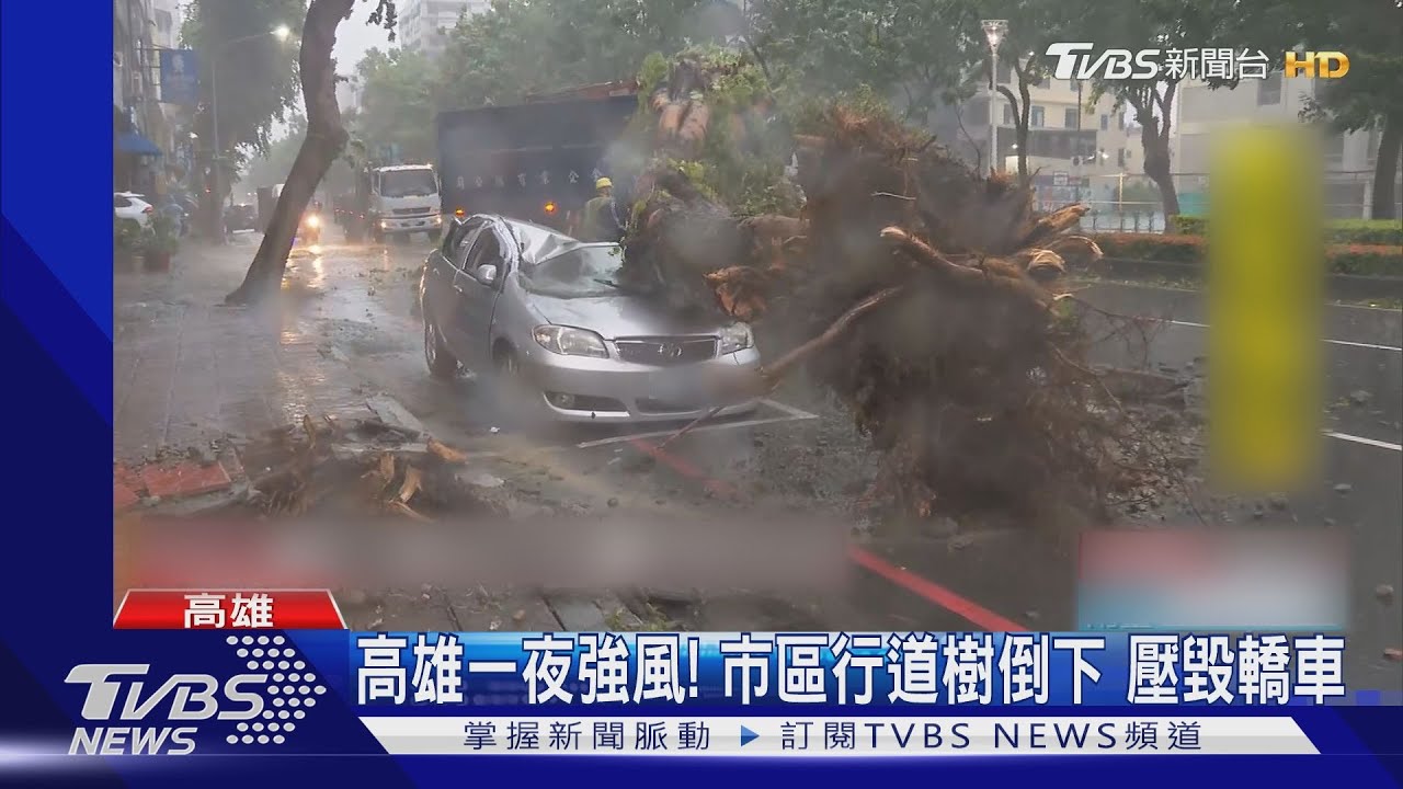 高雄一夜強風！市區行道樹倒下　壓毀轎車