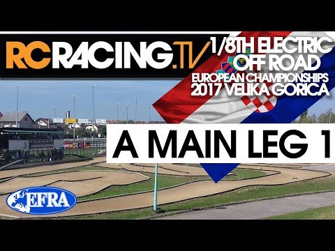 EFRA 1/8th Electric Buggy Euros - A MAIN LEG 1