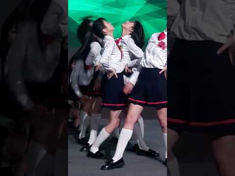 170330목요일 보너스베이비(커버) 가온직캠