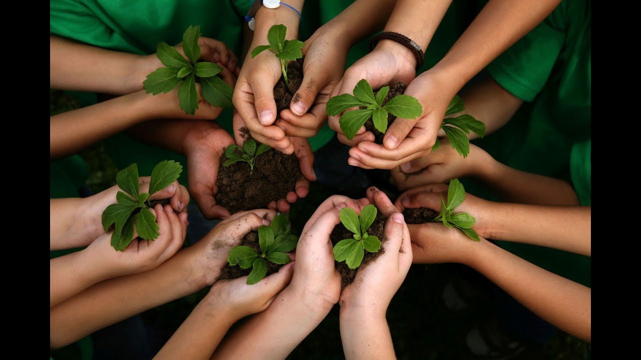 Sustentabilidade e responsabilidade social corporativa