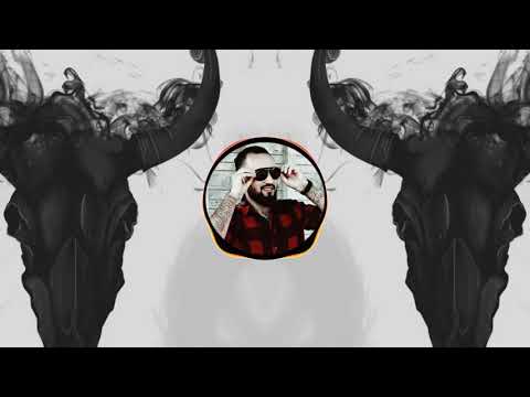 Dj aligator project ( bass bossted )