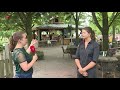 Het alternatief: het sprookje van Hans en Grietje