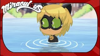 Miraculous - Le storie di Lady Bug e Chat Noir - Chibi Short - La curiosità uccide il gatto