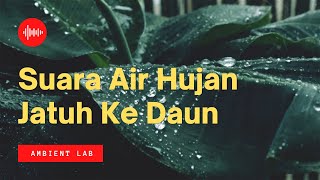 Download lagu FREE AMBIENT - SUARA HUJAN JATUH KE DAUN (NO COPYRIGHT) mp3