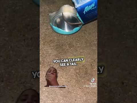 Alani Cancels Themselves 😳