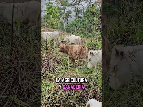 🌿✨ ¡Atención emprendedores del campo!