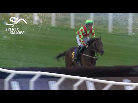 Årets Hinderhäst 2020