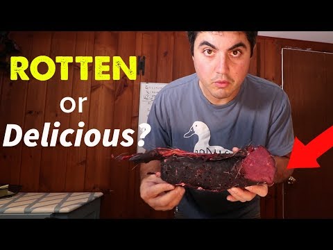 download lagu mp3 mp4 Age Drying Meat At Home, download lagu Age Drying Meat At Home gratis, unduh video klip Age Drying Meat At Home