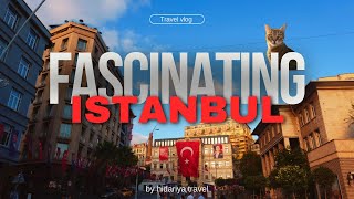 【魅惑のイスタンブール🇹🇷】世界遺産とサバサンドと猫と | 2泊3日ひとり旅