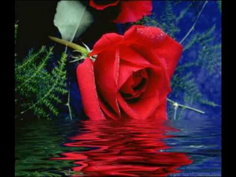 DJ AYMIX - My Darling.mp4