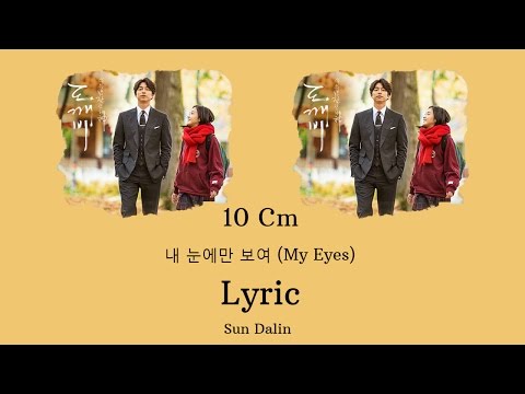 [LYRIC] 10cm – 내 눈에만 보여 (Han-Rom-Eng)