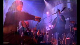 Cesaria Evora  Live at Zenith 2