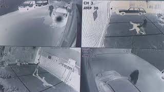 Particle Kid – “Someone Else’s Dream” (feat. J Mascis, Paul Bushnell & Sunny War)