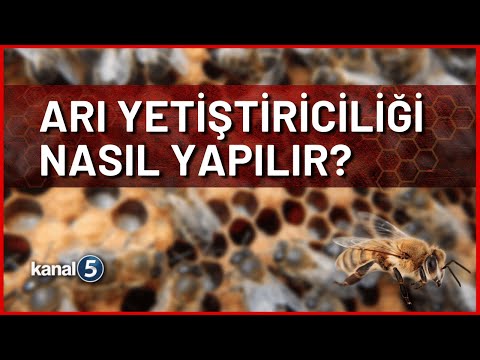 , title : 'Arı Yetiştiriciliği Nasıl Yapılır? - Mehmet Uçar, Doç. Dr. Mirmahmut Seyidli ve Sefer Seyidov'