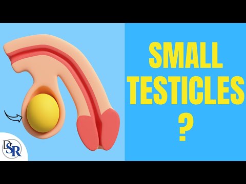 Are My Small Testicles 𝗕𝗮𝗱 𝗙𝗼𝗿 𝗠𝘆 𝗛𝗲𝗮𝗹𝘁𝗵 & How Can I Grow Them?