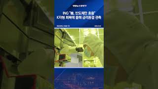 ING "韓, 반도체만 호황"…K자형 회복에 올해 금리동결 관측