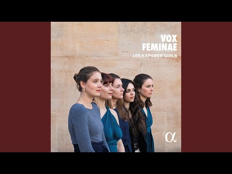 In amor ci vuol ardir