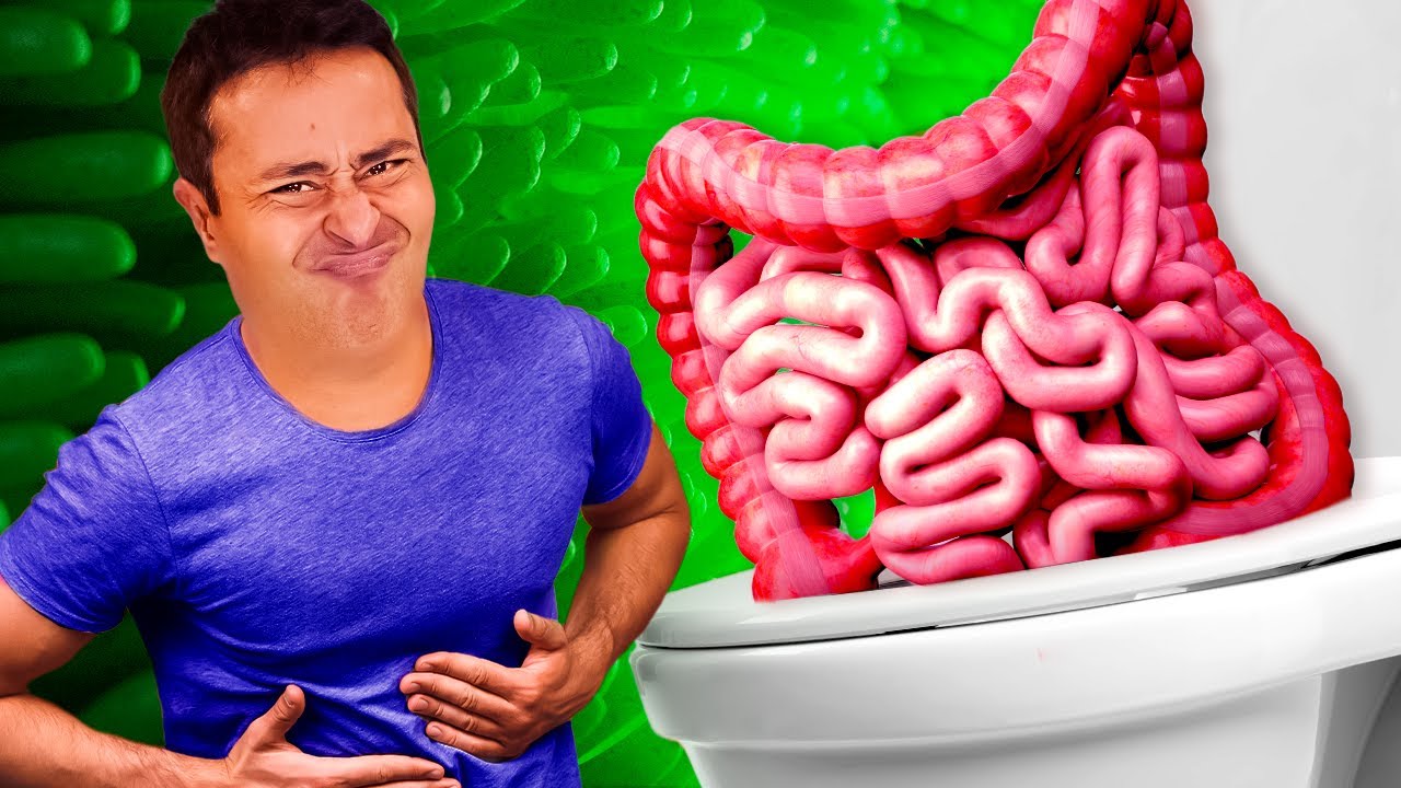 SISTEMA DIGESTÓRIO: Intestinos | AULA 5