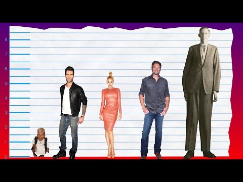 download lagu mp3 mp4 Maroon 5 Height In Feet, download lagu Maroon 5 Height In Feet gratis, unduh video klip Maroon 5 Height In Feet