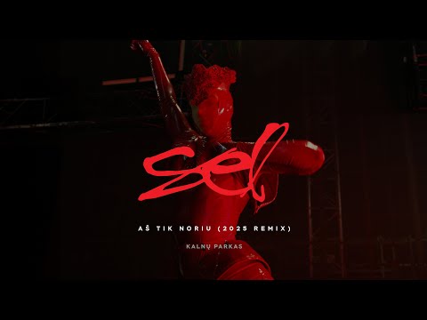 Sel - Aš Tik Noriu [Remix 2025]